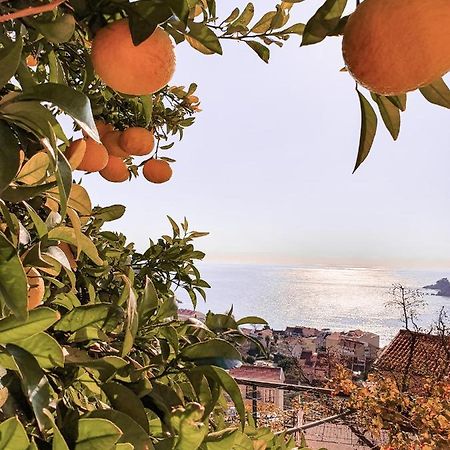 Apartman Lana Petrovazzo Esterno foto
