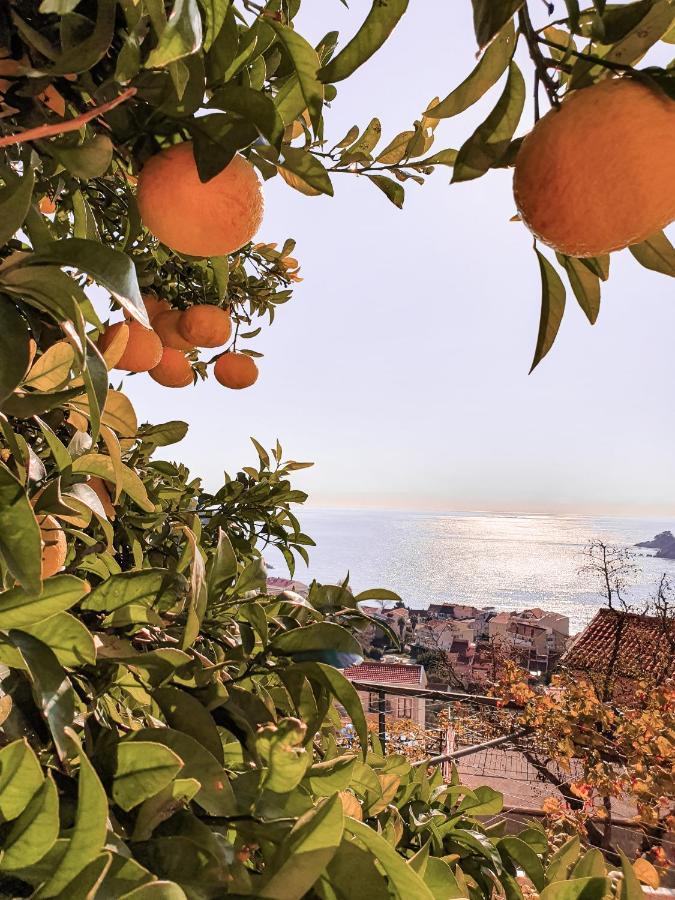Apartman Lana Petrovazzo Esterno foto